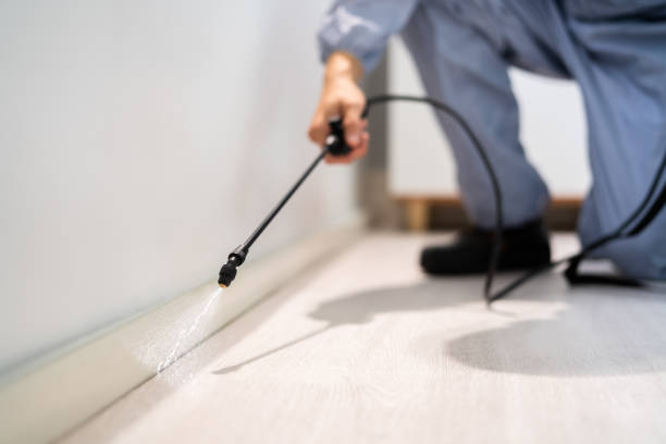 Bed Bug Pre-Treatment Preparation Assessment in Harkers Island