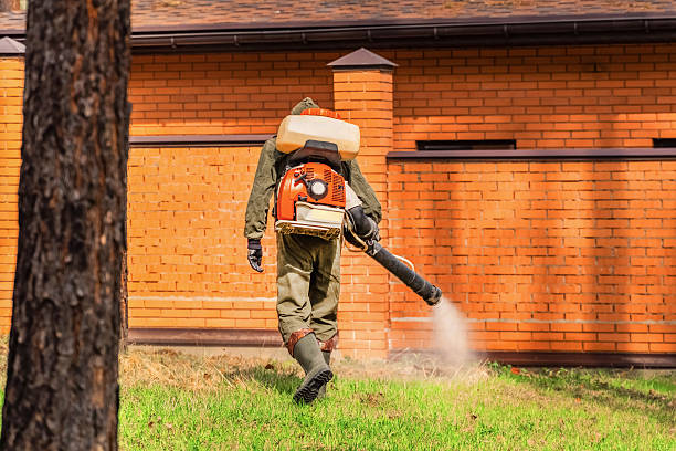 Bed Bug Clearance Verification and Documentation in Harkers Island